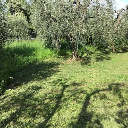 Bio Forester Manerba del Garda